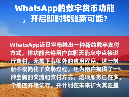WhatsApp 新的数字支付方式