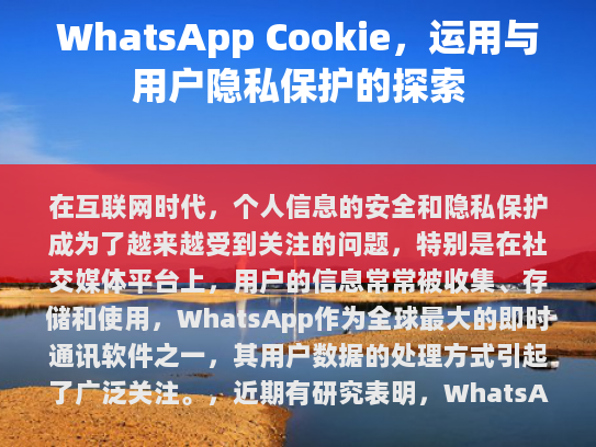 对于像WhatsApp这样的大型科技公司而言，如何平衡用户隐私与业务发展之间的关系是一个复杂的问题。随着数据隐私保护法规的不断完善和技术的发展，未来用户对自己的数据有更多的掌控权将是不可避免的趋势。