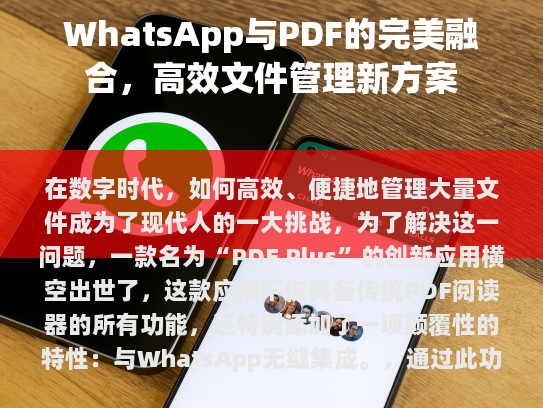 在数字时代，如何高效、便捷地管理大量文件