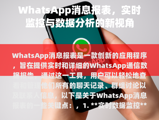 WhatsApp 消息报表，实时监控与数据分析的全新视角
