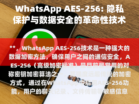 选择使用这种高级加密技术可以增强用户体验，同时也能有效防范网络威胁，为用户提供一个更加安心、可靠的沟通环境。