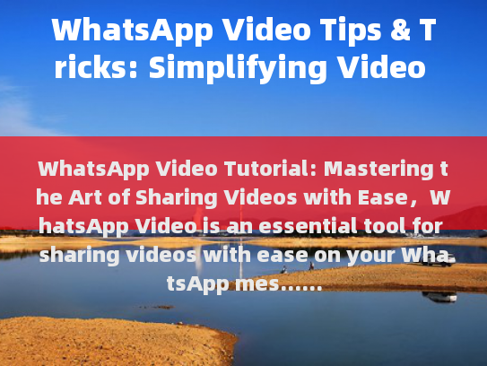 WhatsApp Video Tips & Tricks: Simplifying Video Sharing for Beginners