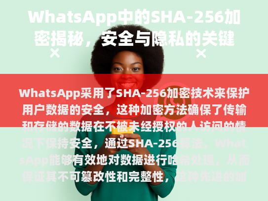 WhatsApp 中的 SHA-256 加密揭秘，安全与隐私的关键