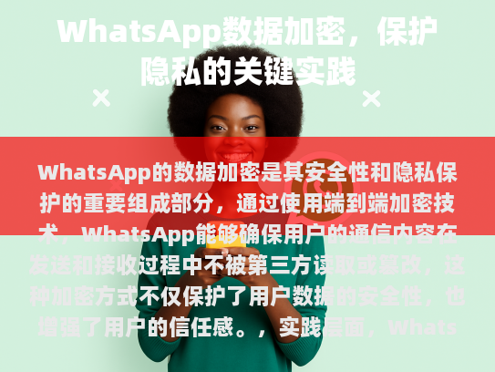 WhatsApp提供了多种加密选项供用户选择，包括标准加密、高级加密和企业级加密。这些选项允许用户根据自己的需求和偏好来调整数据保护级别。WhatsApp还定期更新其加密算法以应对新的威胁和技术挑战。
