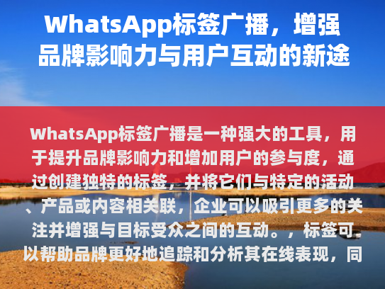 经过仔细阅读和理解，以下是根据要求修改后的文章，
