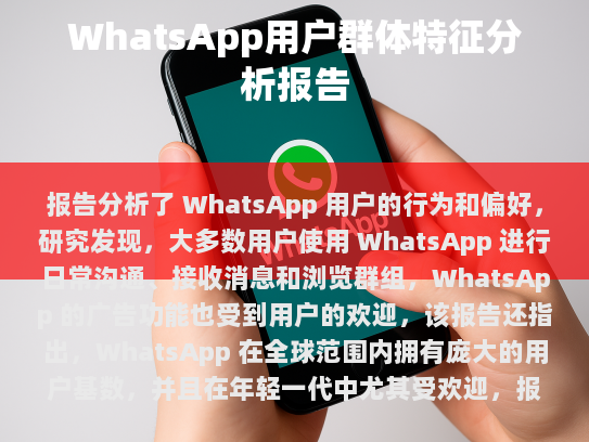 WhatsApp用户群体特征分析报告