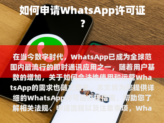 我们有必要明确一个点，在中国境内，WhatsApp并未正式注册为商业服务提供商。如果打算借助WhatsApp开展业务，需要特别注意以下几个方面，