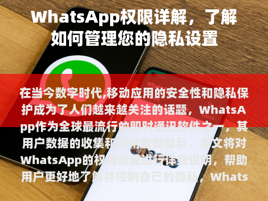 WhatsApp 权限详解，如何安全地管理和利用这些功能