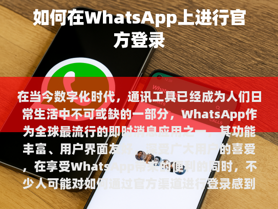 访问官方网站