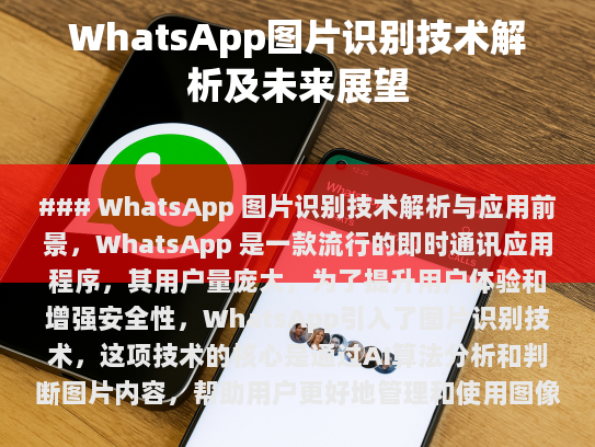 WhatsApp 图片识别技术解析与应用前景